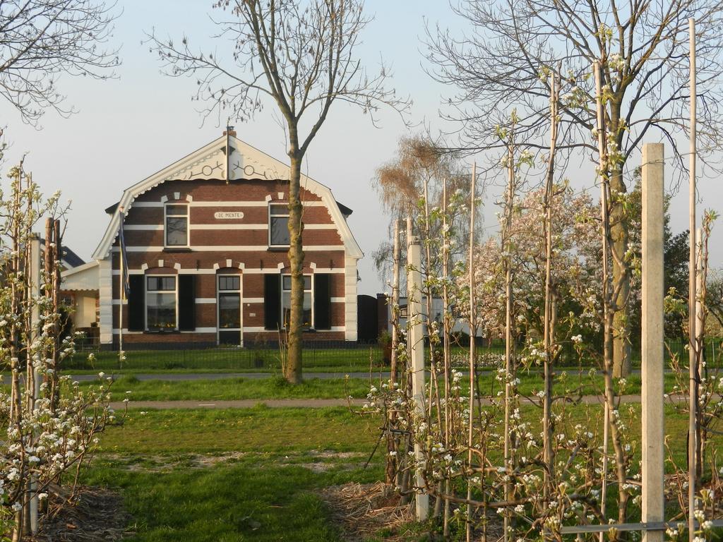 B&B De Bloesemgaard Eck en Wiel Exterior foto