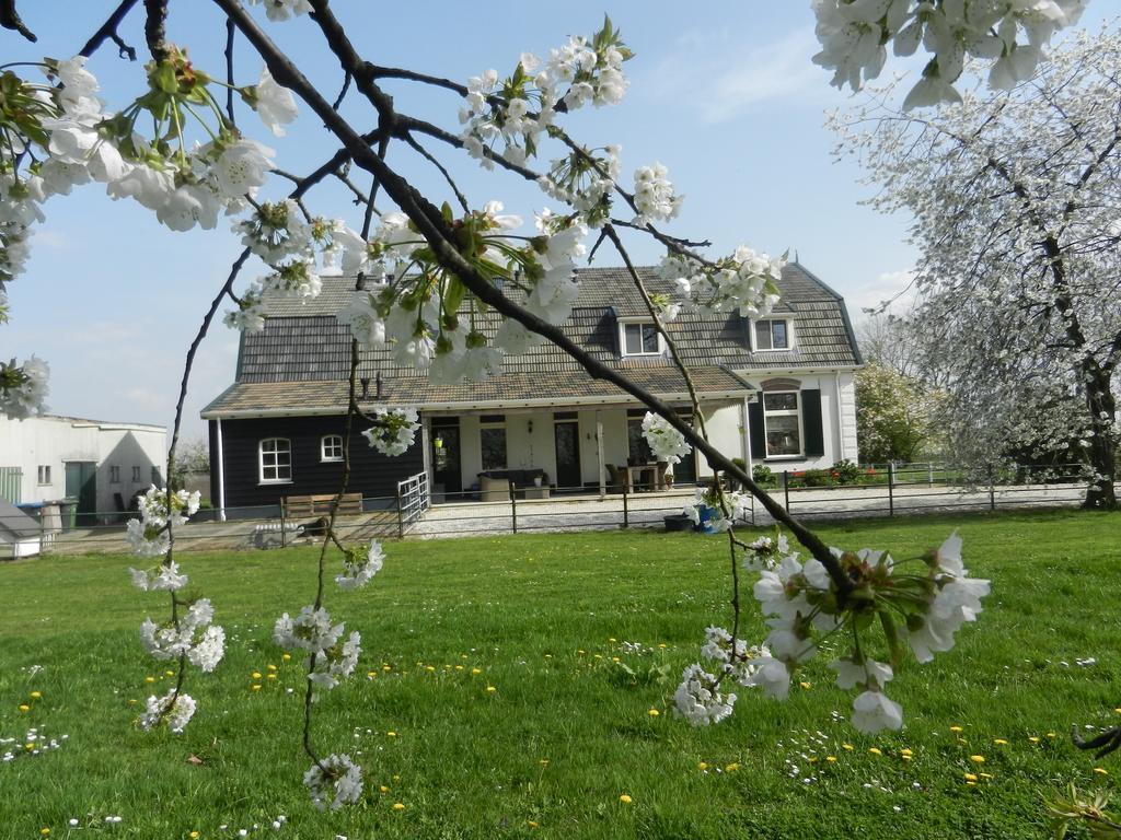 B&B De Bloesemgaard Eck en Wiel Exterior foto
